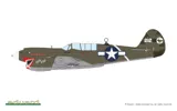 Krabice stavebnice Eduard 11200 Sharks and Stallions DUAL COMBO 1/48 s letouny P-40N a P-51B/C — obrázek 28
