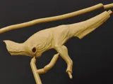Krabice stavebnice Tamiya Clic Loc 28501 Fukuiraptor 1:35 s modelem dinosaura na podstavci — obrázek 12