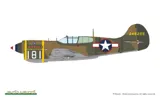 Krabice plastikové stavebnice Eduard 82243 P-40K Warhawk short tail 1/48 ProfiPACK — obrázek 6