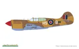 Krabice plastikové stavebnice Eduard 82243 P-40K Warhawk short tail 1/48 ProfiPACK — obrázek 7
