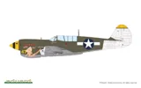 Krabice stavebnice Eduard 84210 P-40N Warhawk 1/48 Weekend Edition — obrázek 2