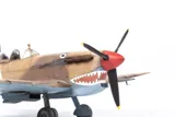 Krabice limitované stavebnice Eduard Eagle's Call DUAL COMBO 1/48 se Spitfiry Mk.Vb a Mk.Vc — obrázek 17