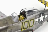 Krabice stavebnice Eduard 11159 RED TAILS & Co. Dual Combo 1/48 se dvěma P-51D Mustang — obrázek 8