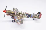 Krabice stavebnice Eduard 11193 15,000th Curtiss P-40N Warhawk v měřítku 1/48 — obrázek 22