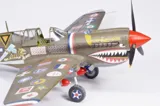 Krabice stavebnice Eduard 11193 15,000th Curtiss P-40N Warhawk v měřítku 1/48 — obrázek 26