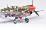 Krabice stavebnice Eduard 11193 15,000th Curtiss P-40N Warhawk v měřítku 1/48 — obrázek 27
