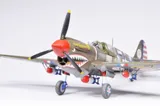 Krabice stavebnice Eduard 11193 15,000th Curtiss P-40N Warhawk v měřítku 1/48 — obrázek 29