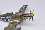 Krabice stavebnice Eduard ProfiPACK 70171 P-51D-5 Mustang v měřítku 1/72 — obrázek 22