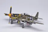 Krabice stavebnice Eduard ProfiPACK 70171 P-51D-5 Mustang v měřítku 1/72 — obrázek 28