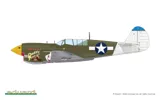 Krabice stavebnice Eduard R0025 P-40N Warhawk Royal Class Dual Combo v měřítku 1/48 — obrázek 2