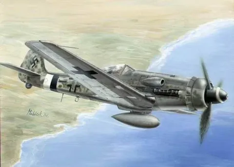 Resinová stavebnice CMK PLT119 Focke-Wulf Fw 190D-13/R11 v měřítku 1/72